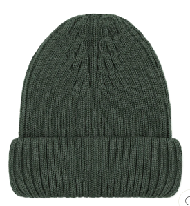 Green Merino Ribbed Beanie Hat